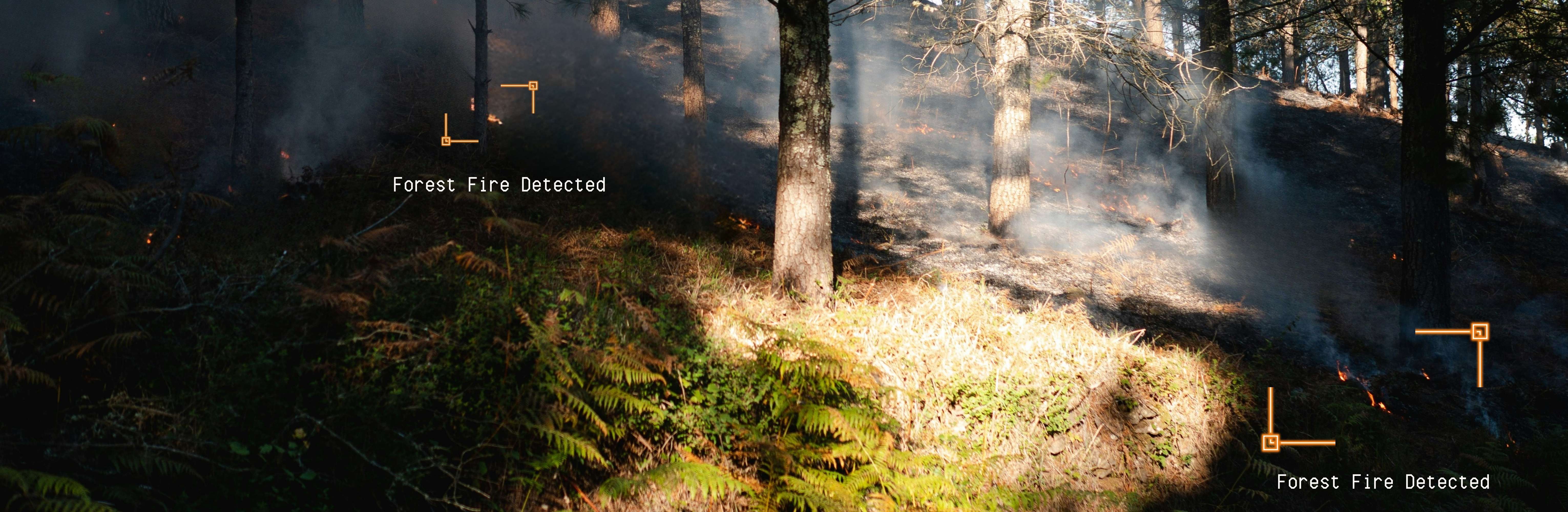 Forest fire detection — computer vision in action